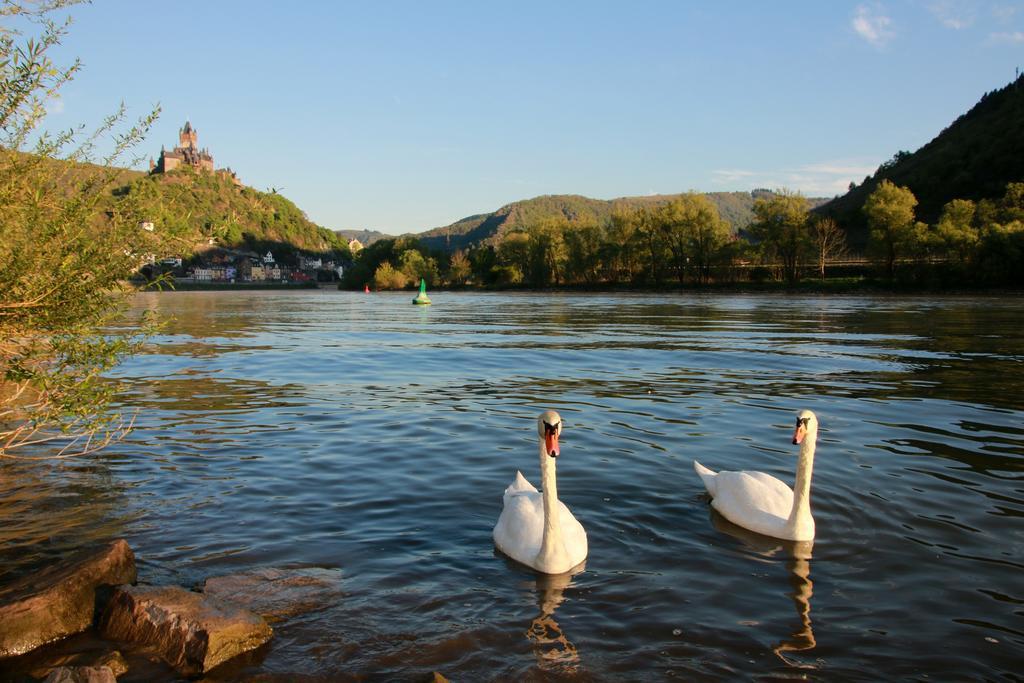 Hotel Klasen Cochem Exterior photo